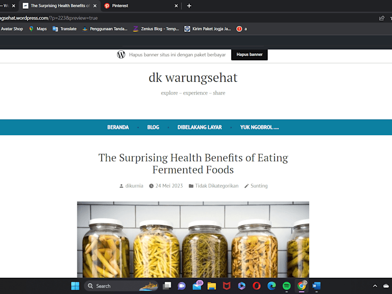 Cover image for  Article for DK warung sehat Blog