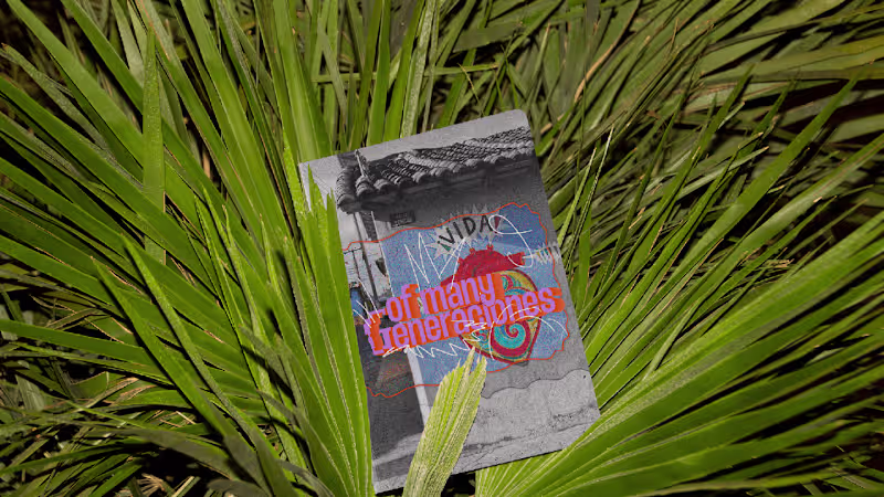 Cover image for Of Many Generaciones Branding and Social Strategy