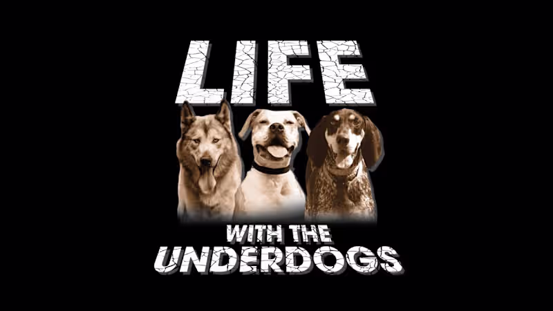 Cover image for RESCUING DOGS...IT WILL RIP YOUR HEART OUT. - YouTube