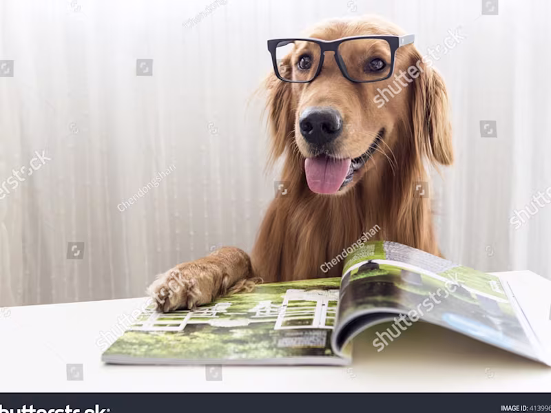 Cover image for Magazine Articles