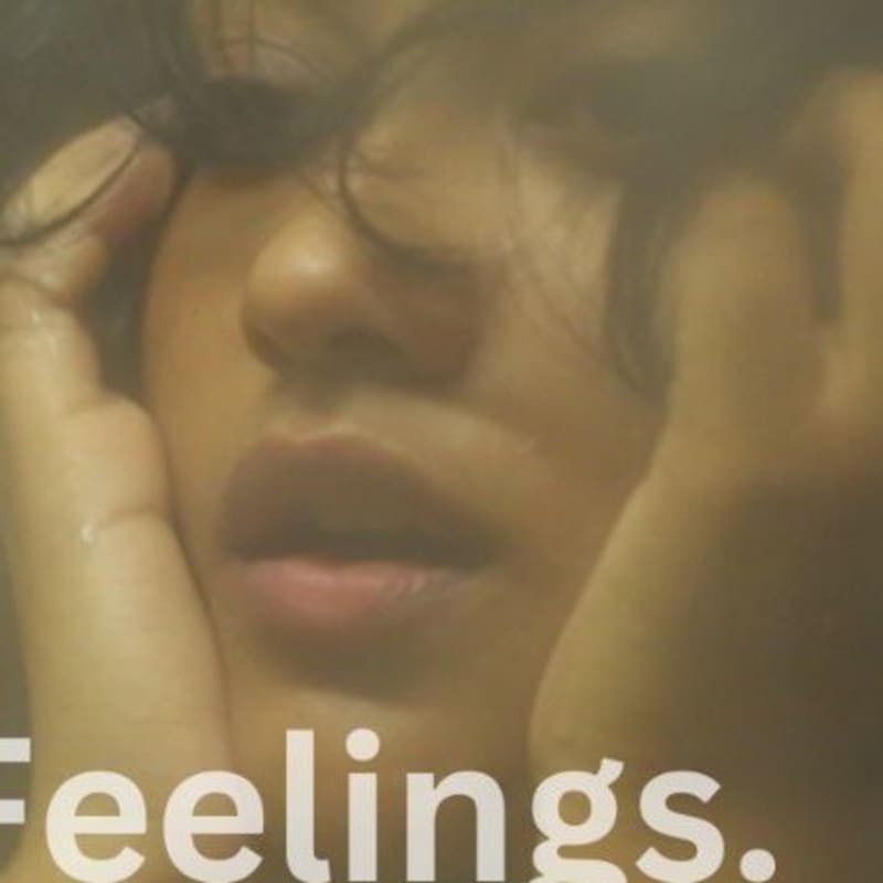 Cover image for Feelings 