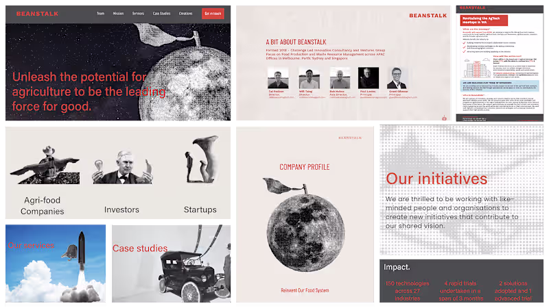 Cover image for Beanstalk :: Behance