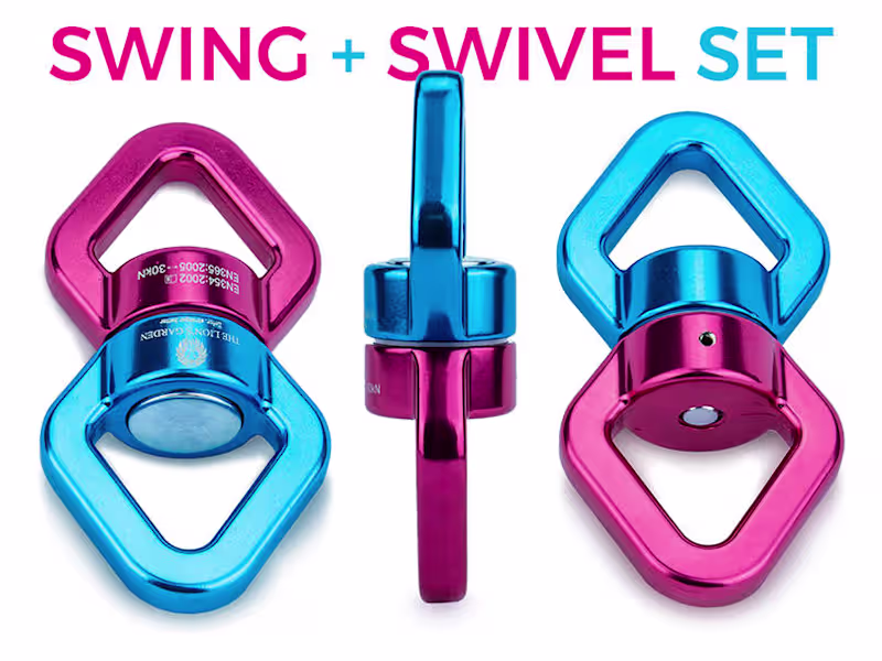 Cover image for The Lion's Garden Swing + Swivel Set