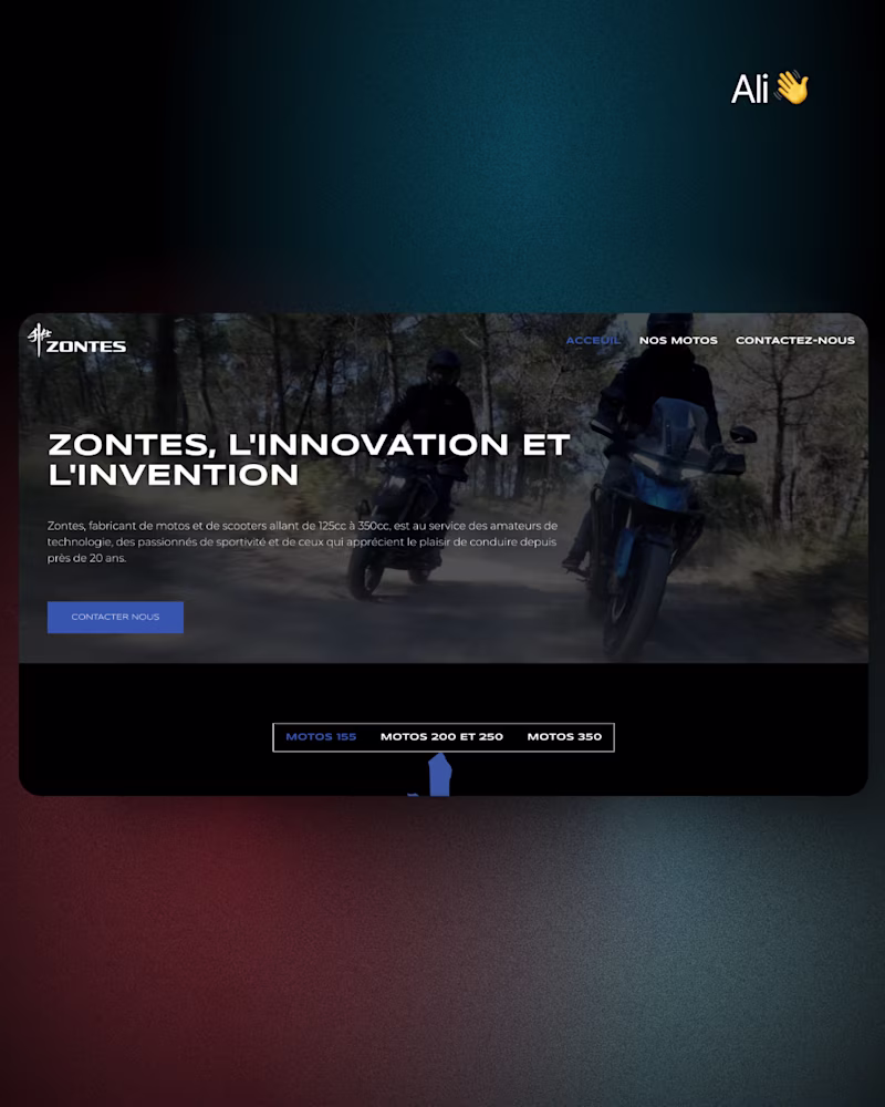 Cover image for zontesmaroc.com