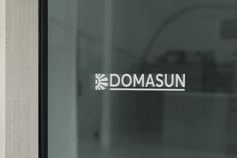 Cover image for Forging the Future: Domasun's Vision for Your Digital Presence