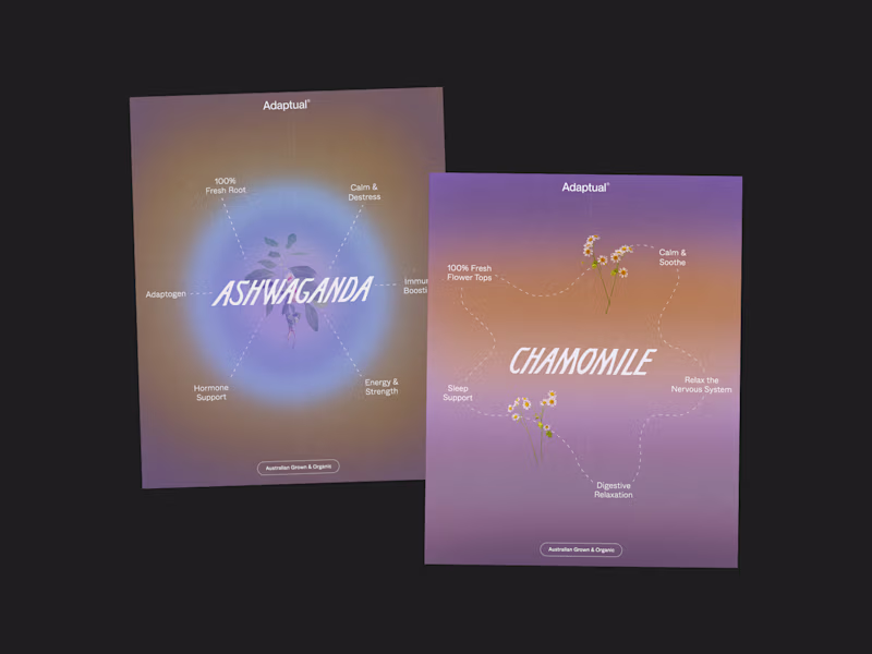 Cover image for Social Media Design