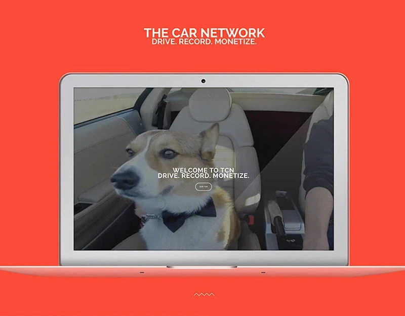 Cover image for The Car Network