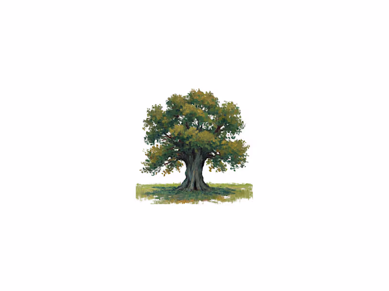 Cover image for Fully Responsive Custom Framer Site 