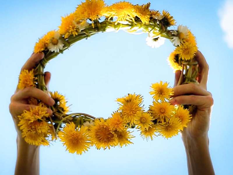 Cover image for Dandelion Wreath | Experimental Short Film - YouTube