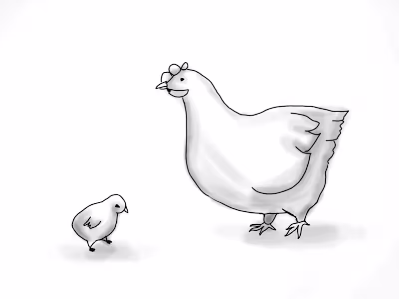 Cover image for Chicken Story