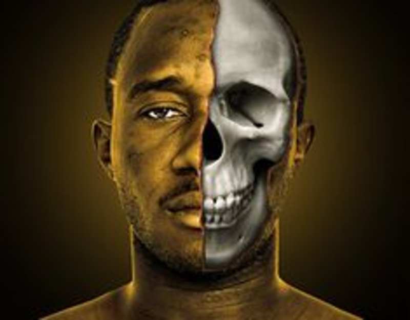 Cover image for Concept Visuals
