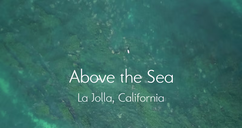 Cover image for Above the Sea - Aerial Videography / Editing