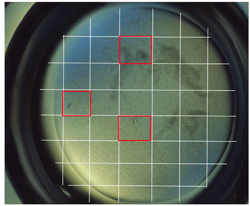 Cover image for MVP Development for Custom Computer Vision Pipelines