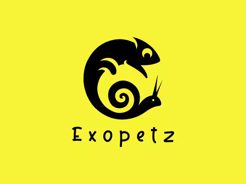 Cover image for Trending Modern and Minimal Logo Design