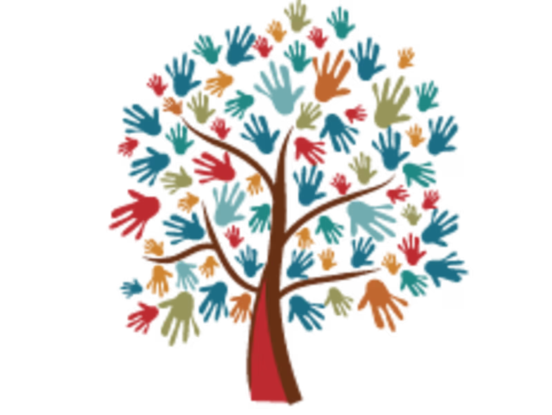 Cover image for La Escuela Cooperativa
