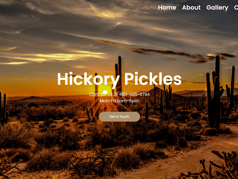 Cover image for Multipage Hobby Website | Hickory Pickles