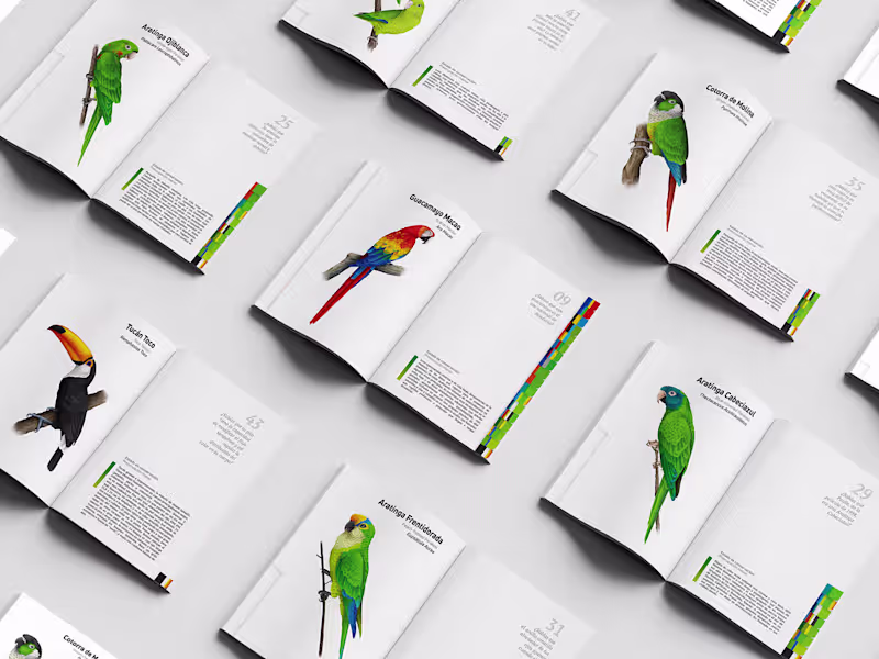 Cover image for Illustrated Field Guide for Biocentro Güembé