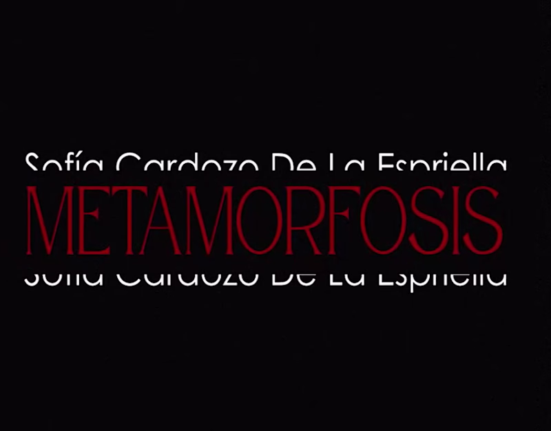 Cover image for Demo latest projects 2025