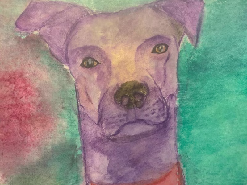 Cover image for I need more dog photos…