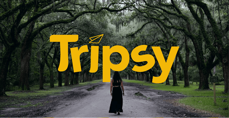Cover image for Tripsy- travel branding :: Behance