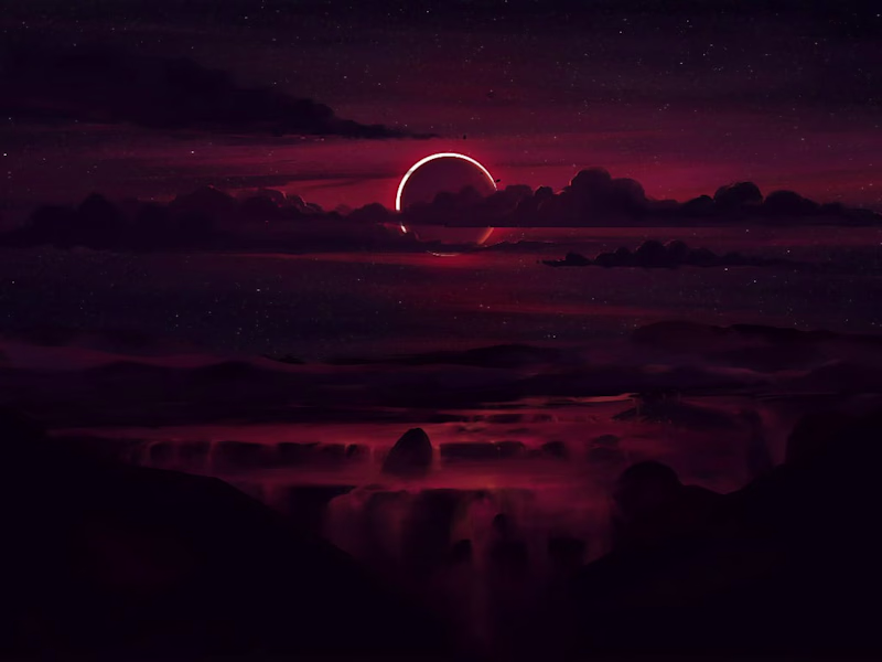 Cover image for Website Copy for a Health Food Company