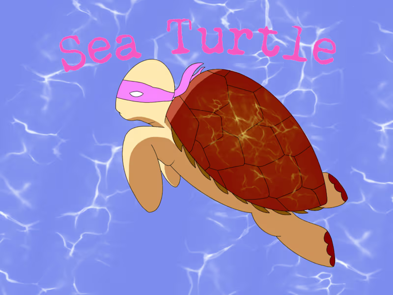 Cover image for 2D Animation & Digital Illustrations