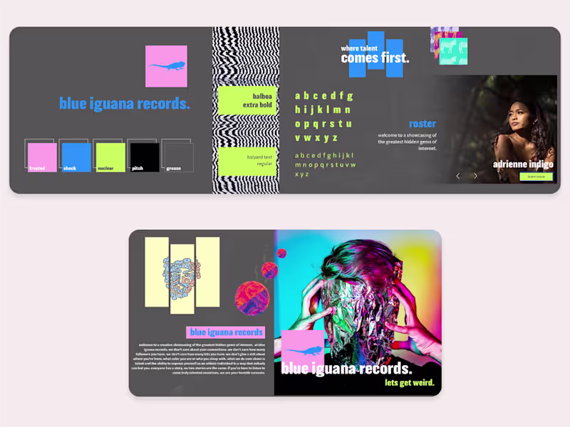 Cover image for Blue Iguana Records - Branding & Web design