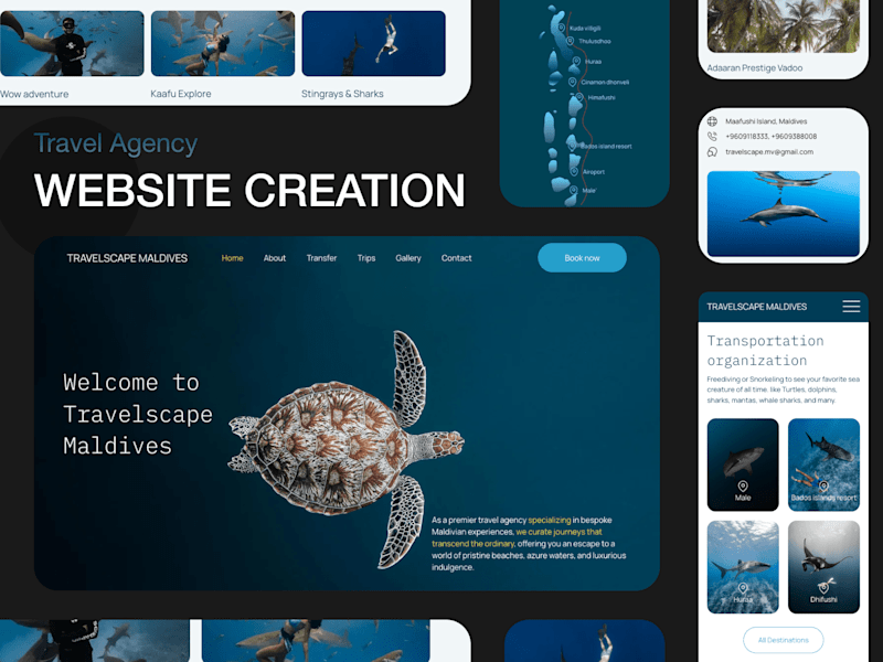 Cover image for Wix SEO Optimised Website Creation