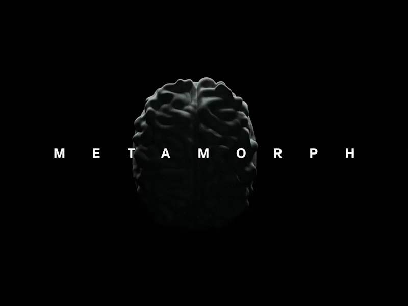 Cover image for Metamorph