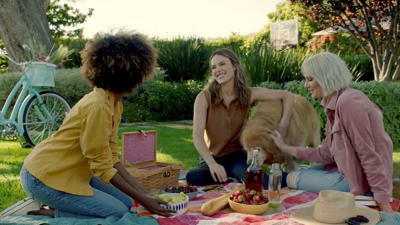 Cover image for CTV + STREAMING AD CAMPAIGNS