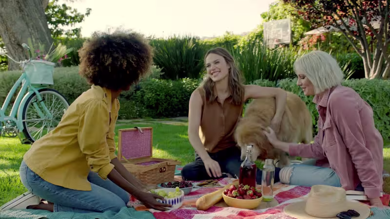Cover image for CTV + STREAMING AD CAMPAIGNS