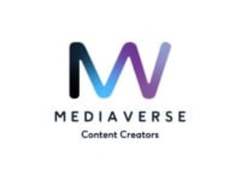 Cover image for Mediaverse | Webflow Development
