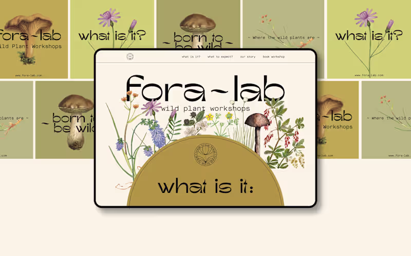 Cover image for Fora-lab