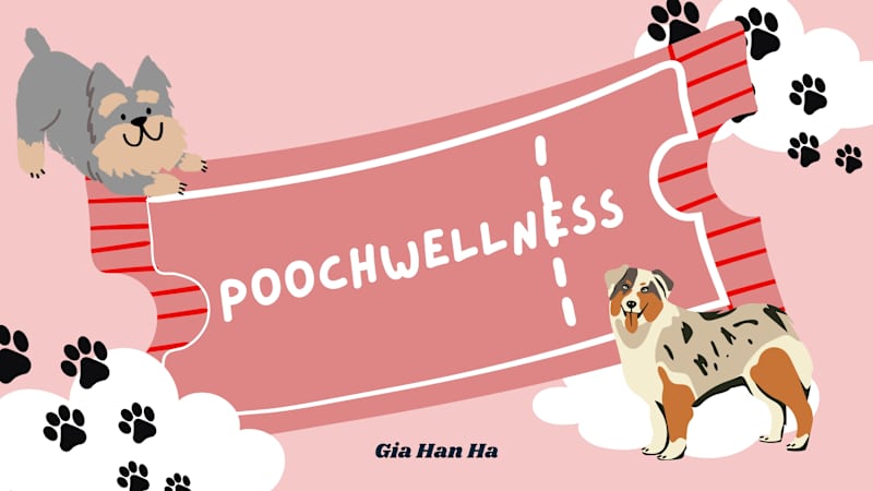 Cover image for PoochWellness — Brand & Website for New Dog Owners