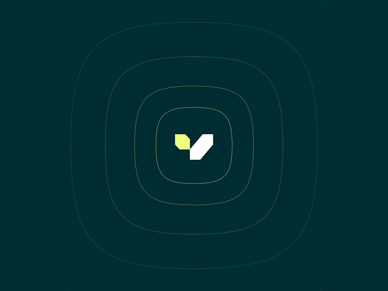 Cover image for Vera — Brand, Pitch Deck, Web Design & Webflow Development