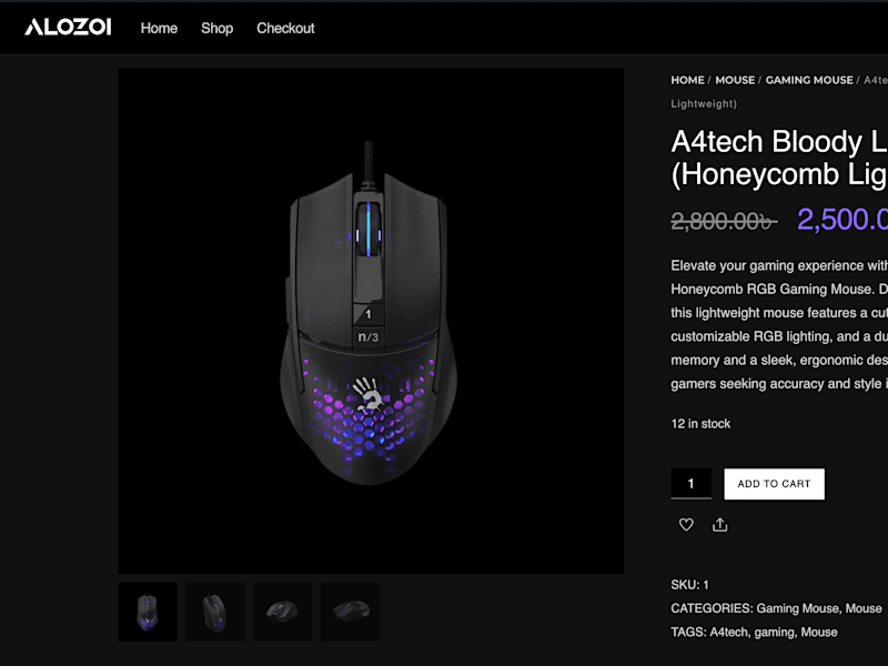Cover image for ALOZOI: E-commerce Website Development