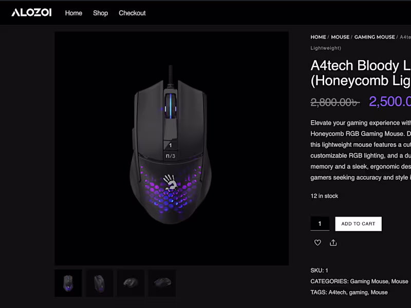 Cover image for ALOZOI: E-commerce Website Development