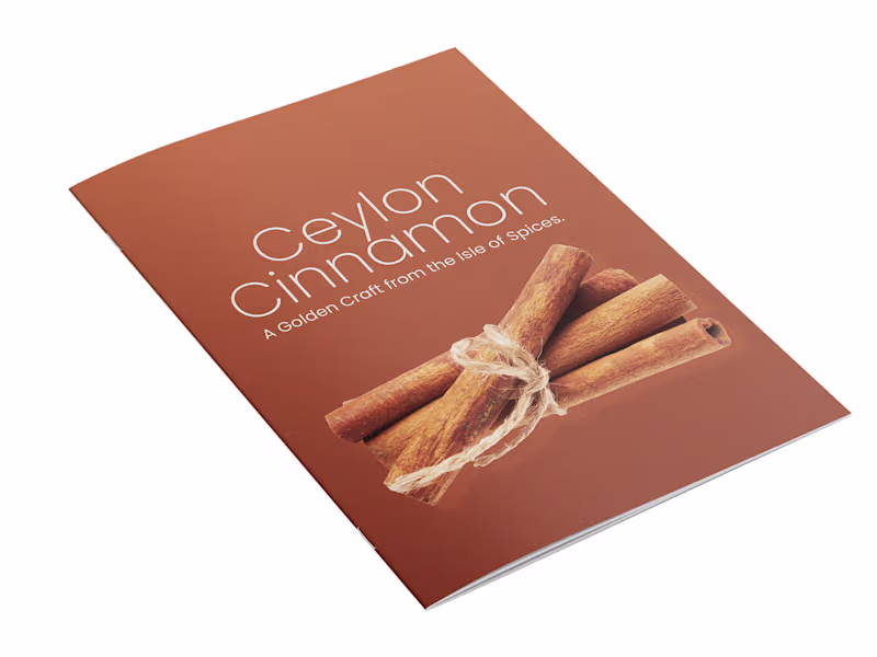 Cover image for Need an  eye-catching Interactive PDF Brochure?