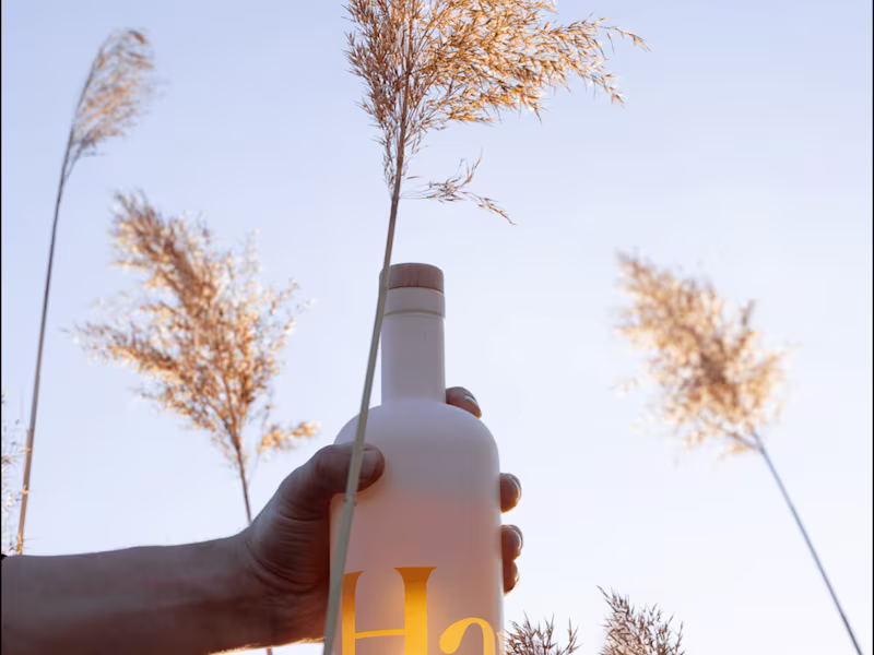 Cover image for Haus Photography