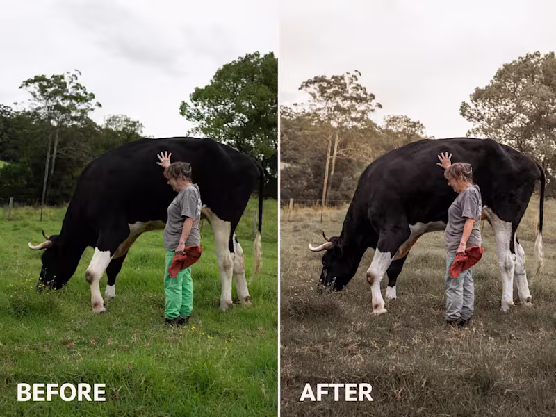 Cover image for Basic Photo Retouching (Single Edit)