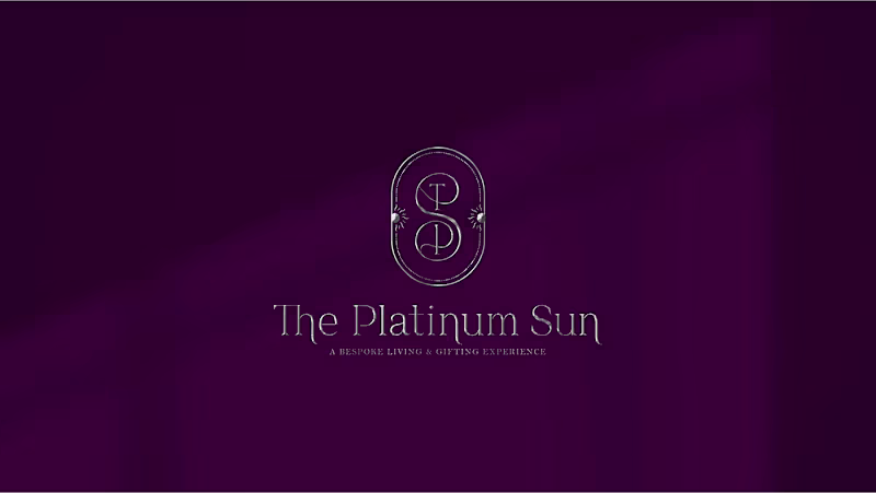 Cover image for The Platinum Sun 