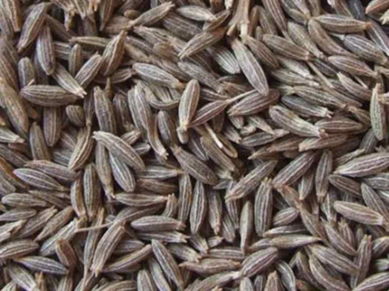 Cover image for Cumin seeds