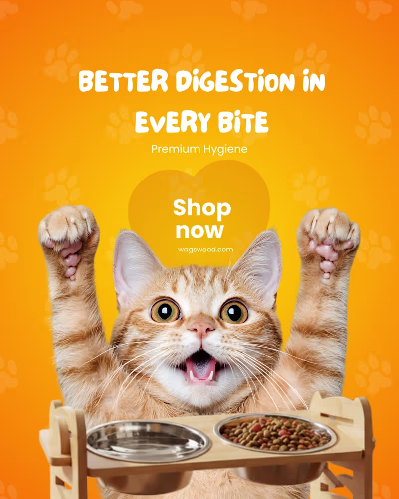 Cover image for Social Media Posts Designs