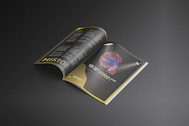 Cover image for METSAN Catalog Redesign