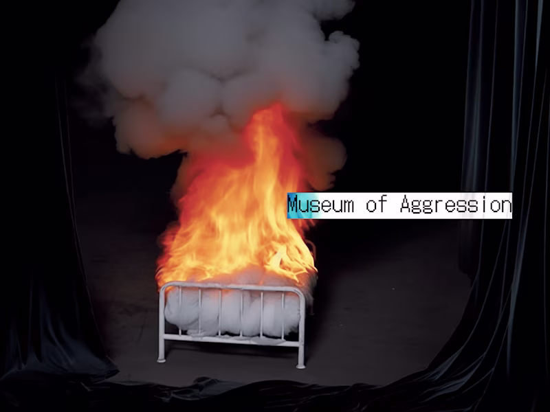 Cover image for Museum Of Aggression