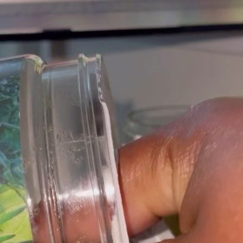 Cover image for Chelsea | 📍Atlanta on Instagram: “So I was gifted these 8green…