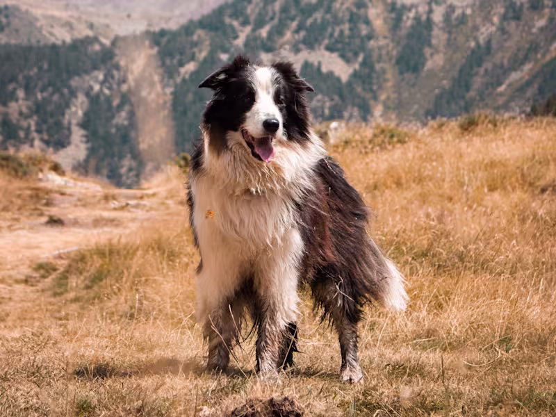 Cover image for Outdoor Photography: Natural Beauty Captured