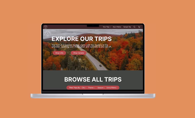 Cover image for I was the lead UX