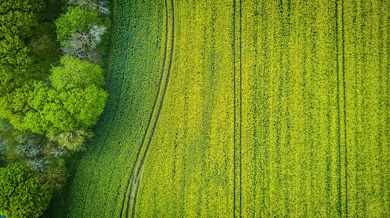 Cover image for Building Brand Identity for Kalyani Biomass Power