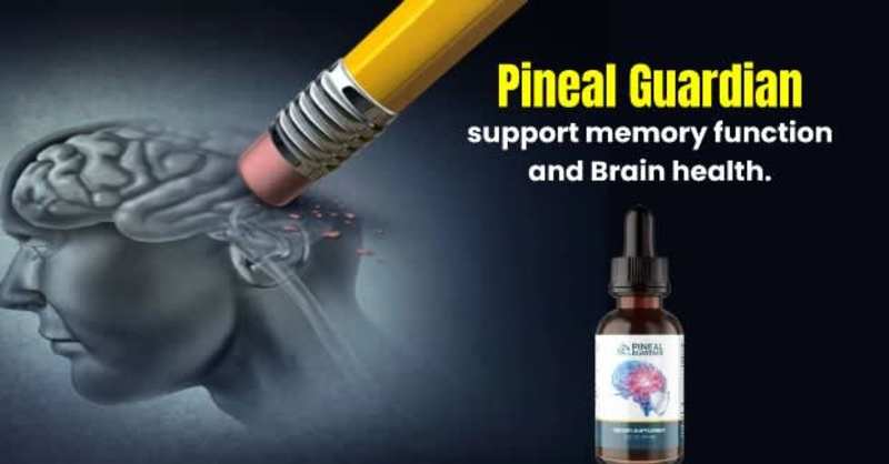 Cover image for Pineal Guardian [TOP RATED] “Reviews” Genuine Expense?